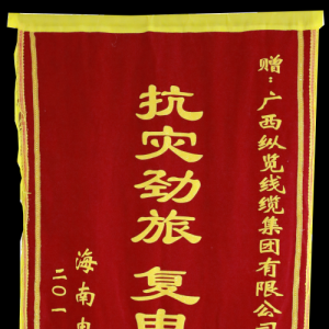 海南電網授予“抗災勁旅 復電先鋒”稱號